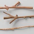Natural Dry Brown Branches Scattered On Green Background For Decorative