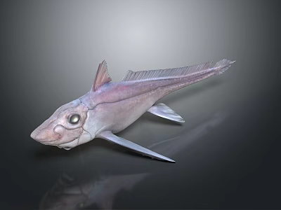 Unique Pinkish Purple Fish 3D Model With Large Eyes And Fins 3d model