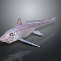 Unique Pinkish Purple Fish 3D Model With Large Eyes And Fins