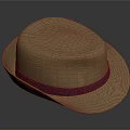 Stylish Brown Hat With Purple Band For Daily Casual Fashion Accessory