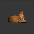 Adorable Orange Cat Curled Up Peacefully Sleeping On Soft White Mat