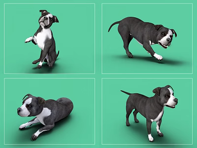 Black And White Dog 3D Models Displaying Various Poses On Green Background 3d model