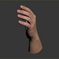 Realistic Anatomical Human Hand With Open Palm Fingers And Visible Hair Strands