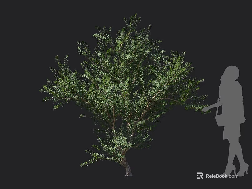 Shrub With Lush Green Leaves And Evergreen Foliage For Outdoor Garden Landscape Design 3d model 