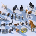 Diverse Pet Figurines Featuring Various Dog and Cat Breeds with Beds 3d model