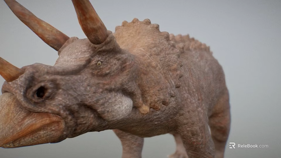 Realistic Triceratops Dinosaur Model With Textured Skin And Horned Head 3d model 
