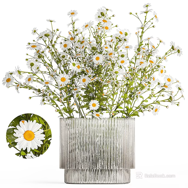 Elegant Decorative Ornament Set with Fresh White Daisies in Silver Striped Vase 3d model 
