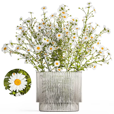 Elegant Decorative Ornament Set with Fresh White Daisies in Silver Striped Vase 3d model Elegant Decorative Ornament Set with Fresh White Daisies in Silver Striped Vase 3d model