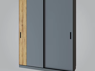 Modern Minimalist Wardrobe With Gray Sliding Doors Wooden Accents And Black Handles 3d model