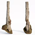Natural Wood And Stone Tree Trunks With Decorative Base Structure 3d model