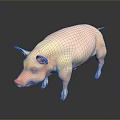 Realistic Pink Pig Standing On Smooth Black Surface With Reflection 3d model