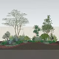 Outdoor Garden Plant Combination With Trees Shrubs Succulents And Pebble Ground