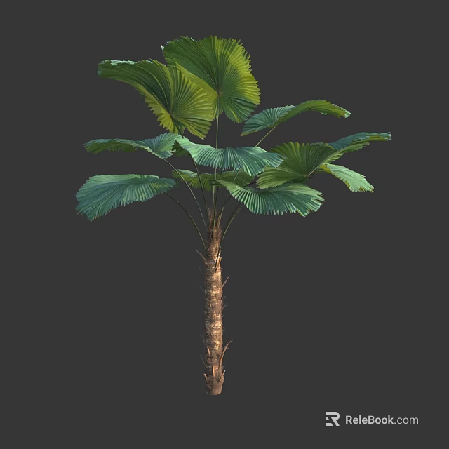 Tall Arbor With Large Fan Shaped Green Leaves And Brown Trunk 3d model 