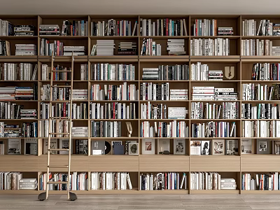Large Wooden Wall to Wall Bookshelves Filled with Neatly Arranged Books and 3d model