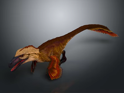 Feathered Dinosaur With Long Tail And Brown Yellow Red Plumage In Dynamic Pose 3d model