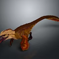 Feathered Dinosaur With Long Tail And Brown Yellow Red Plumage In Dynamic Pose