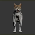 Standing Cat With White And Brown Tabby Fur On Dark Background With Shiny Reflection 3d model