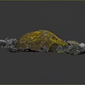 Large Natural Rock With Yellow Spots Surrounded By Small Stones And Pebbles