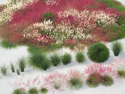 Colorful Grasses and Plants with Pink White Green Fluffy Round Slender Shapes 3d model