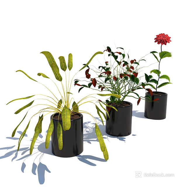 Bonsai Potted Plants With Long Green Leaves Red Fruits And Red Flower In Black Pots 3d model 