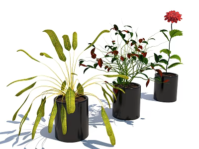 Bonsai Potted Plants With Long Green Leaves Red Fruits And Red Flower In Black Pots 3d model