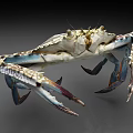 Colorful Spotted Crab With Blue Claws And Unique Pattern On Gray Background