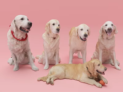 The Modern Dog 3d model The Modern Dog 3d model