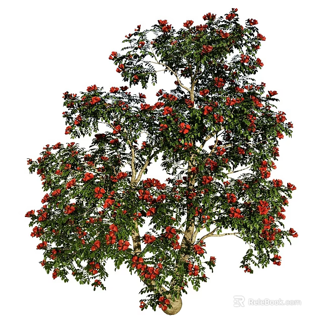 Lush Flowering Tree With Abundant Red Flowers And Vibrant Green Leaves 3d model 