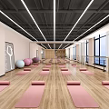 Modern Spacious Yoga Studio With Pink Mats Wooden Lockers And Windows