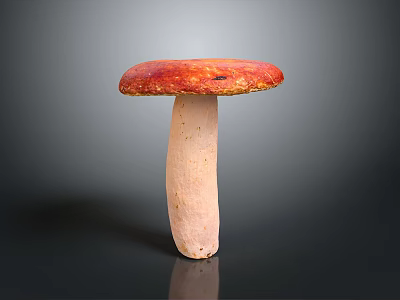 Fresh Red Capped Mushroom With White Stem On Dark Background 3d model