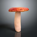 Fresh Red Capped Mushroom With White Stem On Dark Background