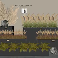 Golden Grasses and Yellow Ferns Decorative Display with Black Planters Round Lights and Grey Wall