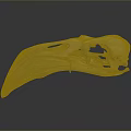 Bird Animal Skull With Long Beak Light Color On Dark Background With Reflection