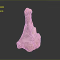 Natural Wooden Sculpture With Irregular Shape Rough Texture And Decorative Design