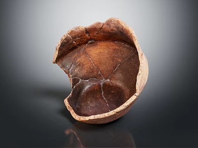 Handmade Ceramic Decorative Bowl Featuring Cracked Texture And Brown Finish For Home Furniture 3d model
