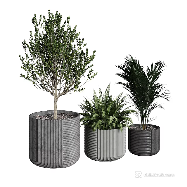 Elegant Bonsai Potted Plants with Various Greenery in Textured Gray Planters for Indoor Decor 3d model 