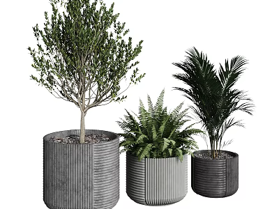 Elegant Bonsai Potted Plants with Various Greenery in Textured Gray Planters for Indoor Decor 3d model