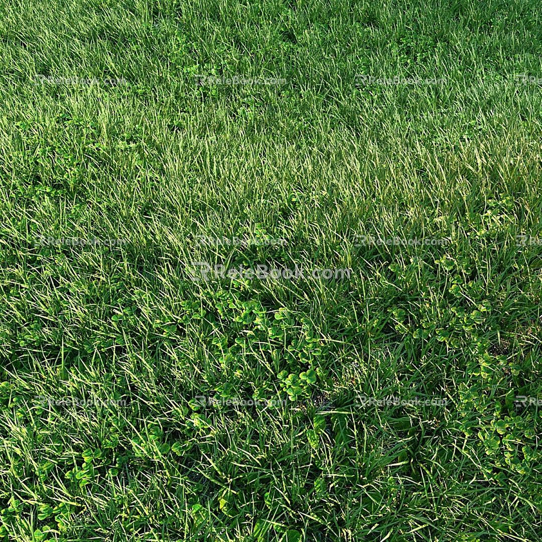 Modern grass lawn turf 3d model