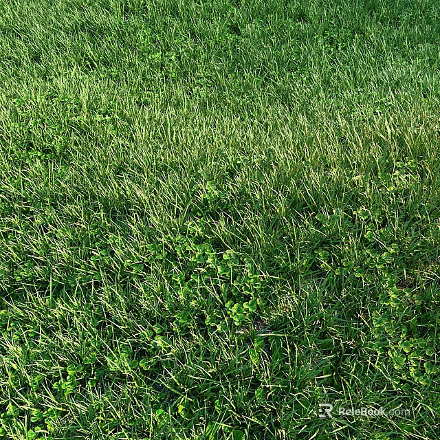 Vibrant Lush Green Grass And Tiny Green Plants Growing In Natural Outdoor Lawn 3d model 