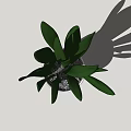 Stylish Potted Plant with Green Long Leaves in White Pot on Light Gray Background
