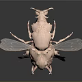 Alien Insects Sci-Fi Insects Magic Insects Strange Insects Fantasy Insects Insect Characters Game Characters 3d model