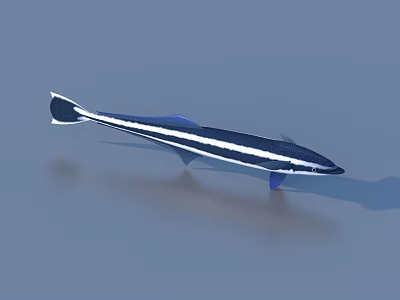 Blue And White Striped Aquatic Fish With Streamlined Body Swimming In Water 3d model