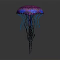 Vibrant Pink And Blue Jellyfish With Long Tentacles On Dark Background