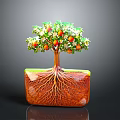 Decorative Potted Tree With Green Leaves Red Fruits And Visible Roots In Square Transparent Container