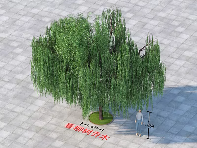 Weeping Willow Arbor With Hanging Branches On Square Paved Ground And Person Scale 3d model