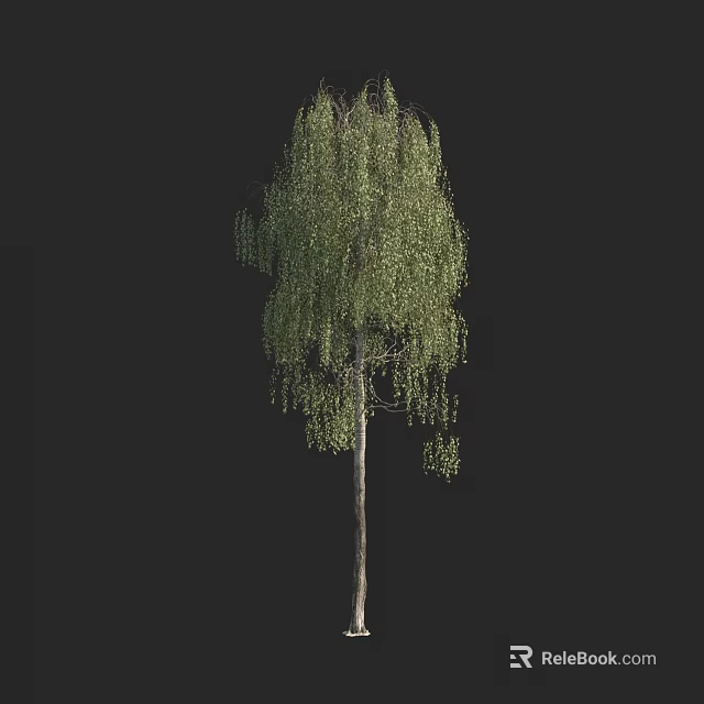 Weeping Willow Tree With Long Drooping Branches And Lush Green Leaves 3d model 