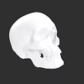 Detailed 3D Rendered White Human Skull Model Side View Against Black Background