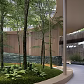 Serene Garden Landscape With Tall Trees Water Stream And Lush Greenery