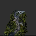 Scenic Natural Microtopography with Flowing River Rocks and Lush Green Trees