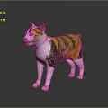 Calico Cat With Orange And White Fur Standing On Shiny Background Surface